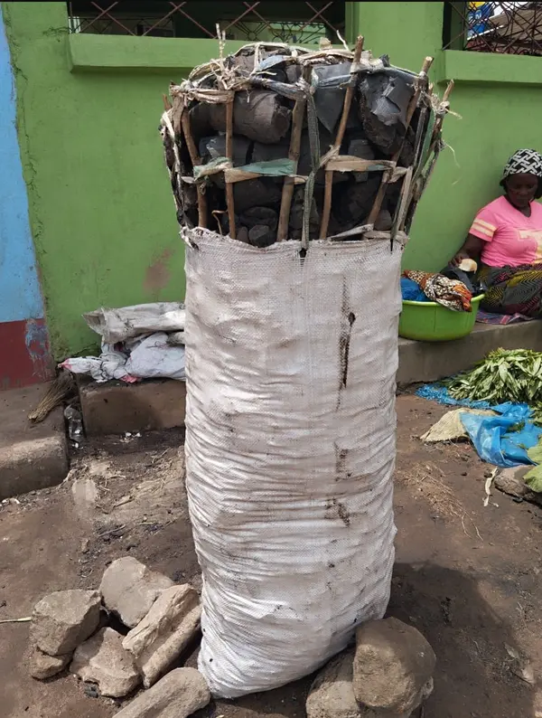 Saco de Carvão para Cozinha  